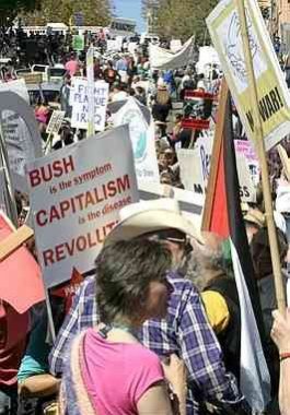 Socialist Protester